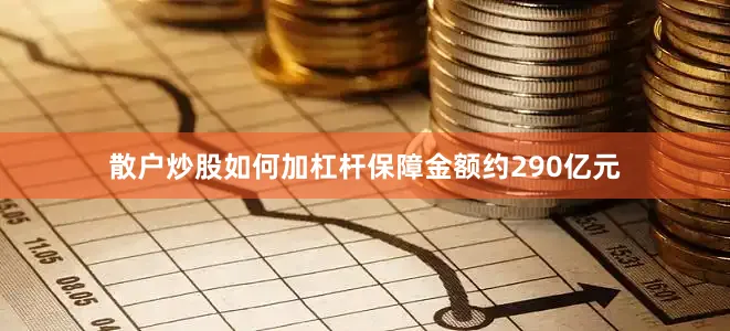 散户炒股如何加杠杆保障金额约290亿元