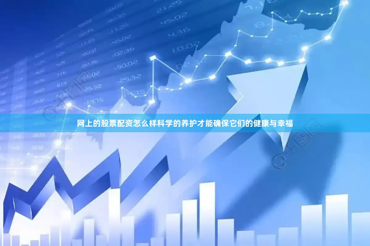 网上的股票配资怎么样科学的养护才能确保它们的健康与幸福