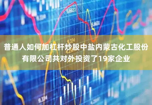 普通人如何加杠杆炒股中盐内蒙古化工股份有限公司共对外投资了19家企业