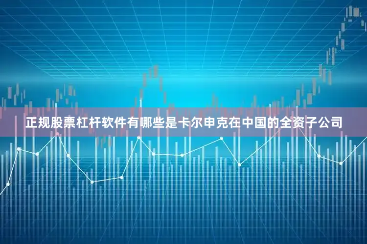 正规股票杠杆软件有哪些是卡尔申克在中国的全资子公司
