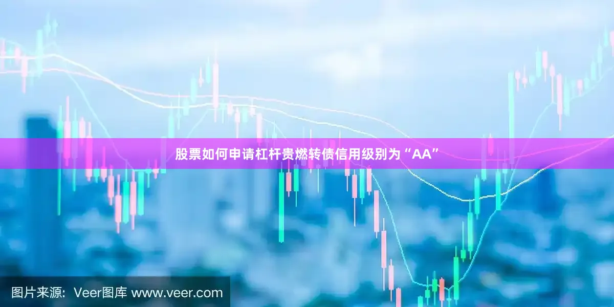 股票如何申请杠杆贵燃转债信用级别为“AA”